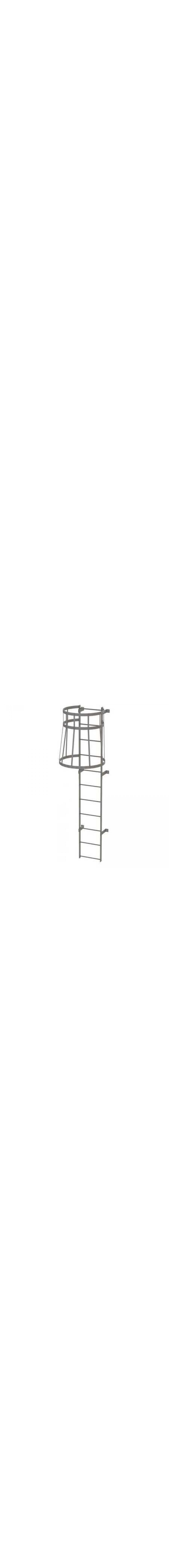 10Ft Steel Fixed Ladder with Safety Cage - WLFC1111