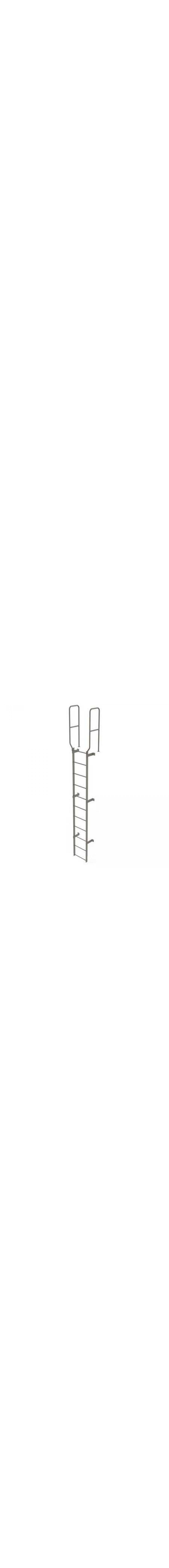 10Ft Steel Fixed Ladder - WLFS0211