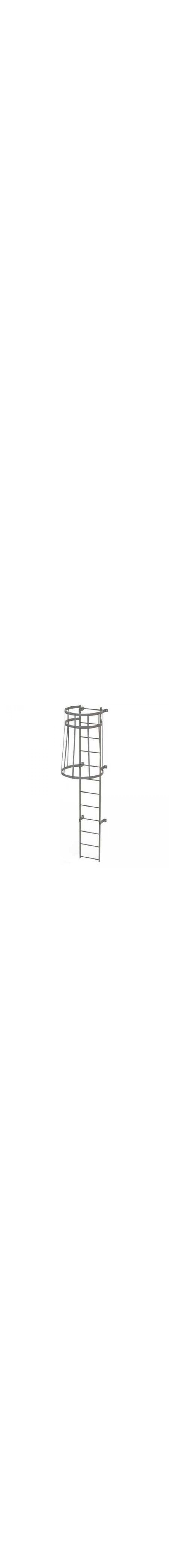 11Ft Steel Fixed Ladder with Safety Cage - WLFC1112
