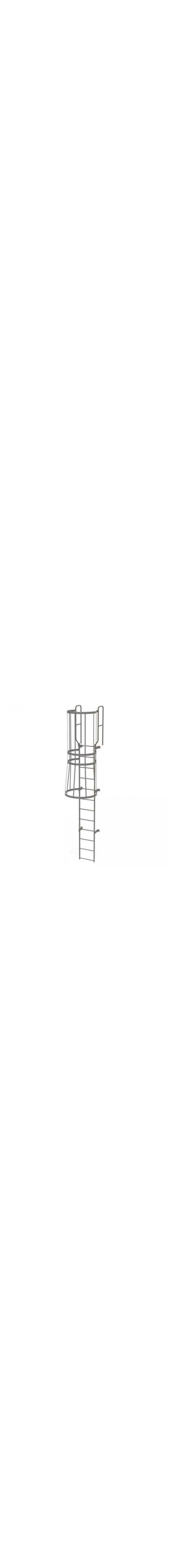 11Ft Steel Fixed Ladder with Safety Cage - WLFC1212