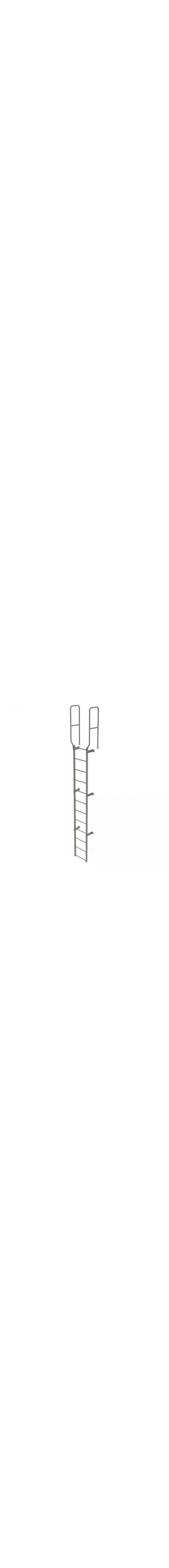 11Ft Steel Fixed Ladder - WLFS0212