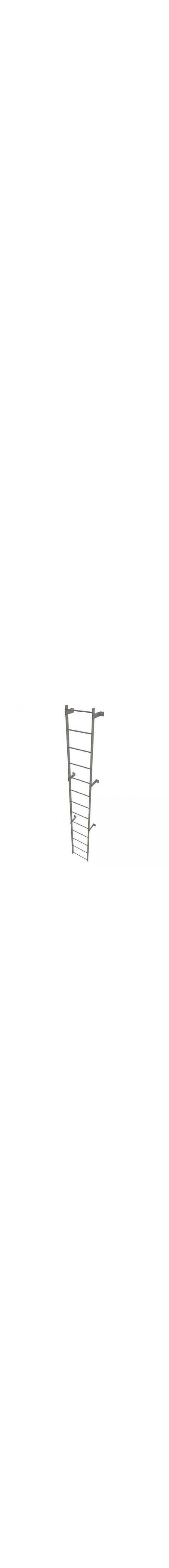 12Ft Steel Fixed Ladder - WLFS0113