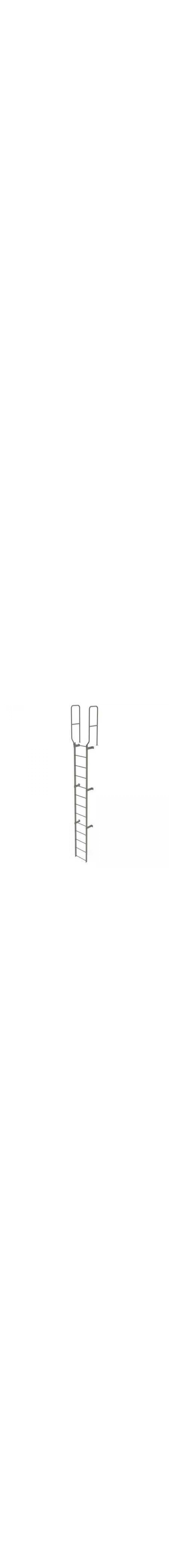 12Ft Steel Fixed Ladder - WLFS0213