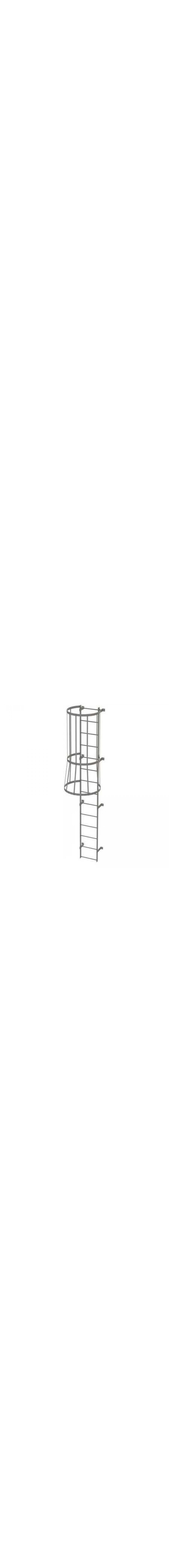 13Ft Steel fixed Ladder with Safety Cage - WLFC1114