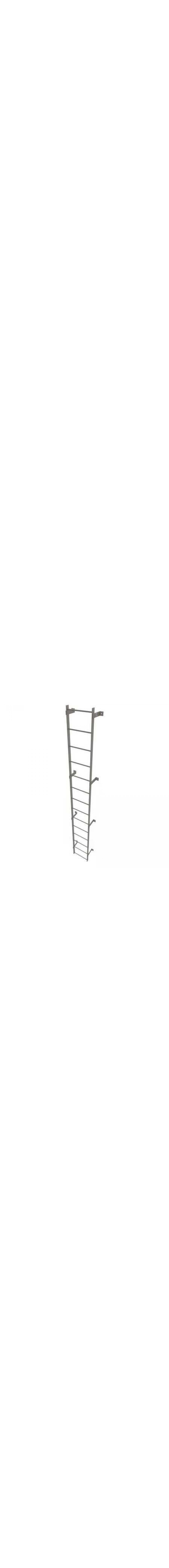 13Ft Steel Fixed Ladder - WLFS0114