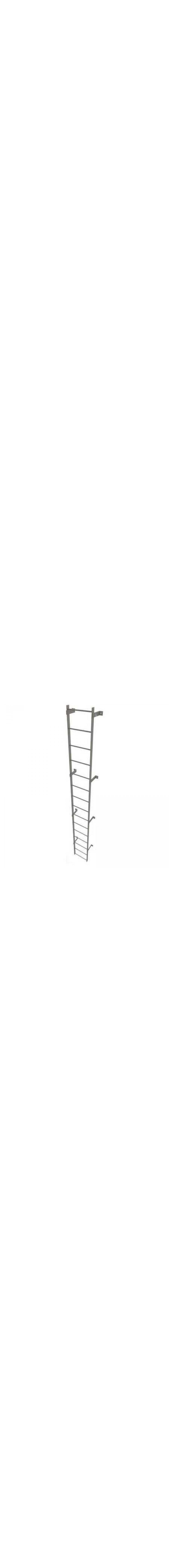 14Ft Steel Fixed Ladder - WLFS0115