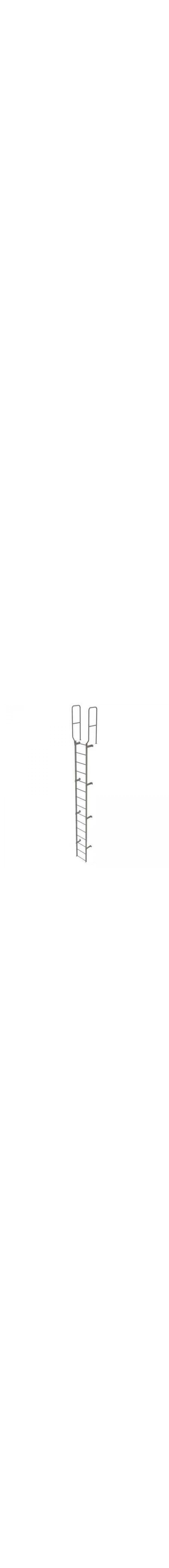 14Ft Steel Fixed Ladder - WLFS0215