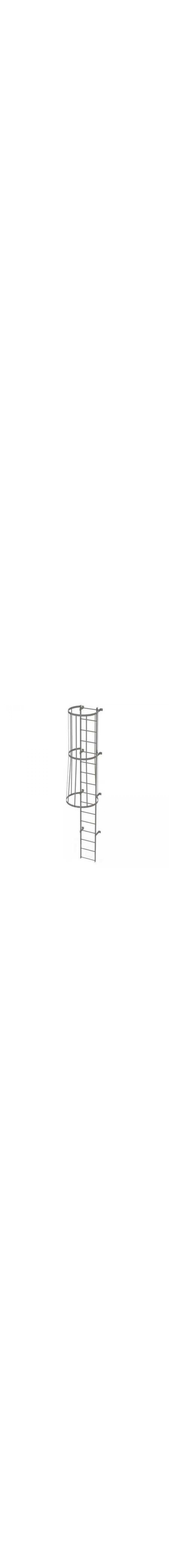 15Ft Steel Fixed Ladder with Safety Cage - WLFC1116
