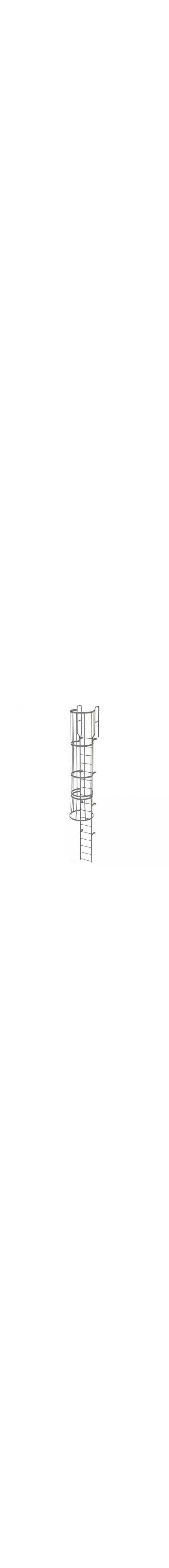 16Ft Steel Fixed Ladder with Safety Cage - WLFC1217