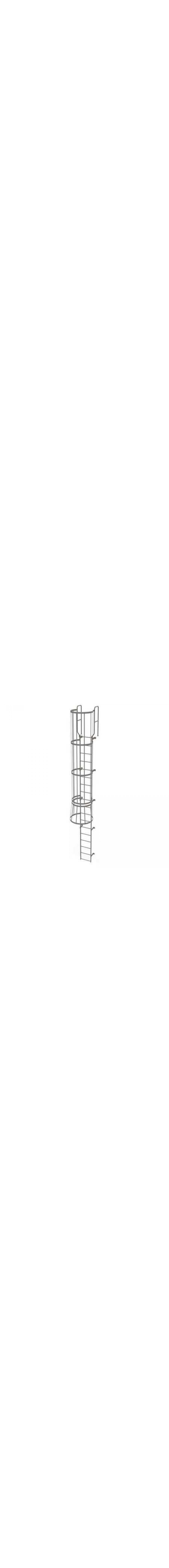 17Ft Steel Fixed Ladder with Safety Cage - WLFC1218