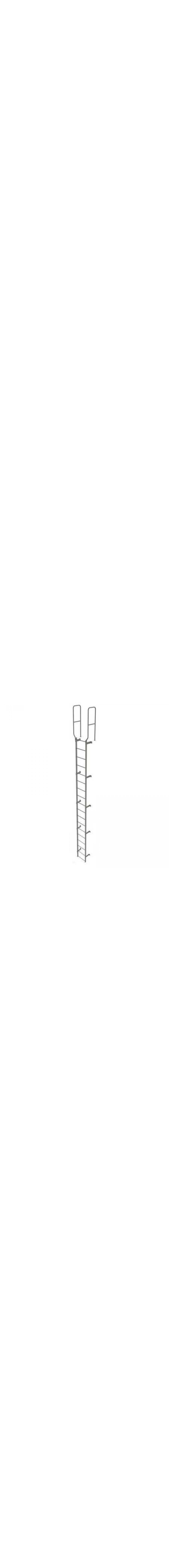 17Ft Steel Fixed Ladder - WLFS0218