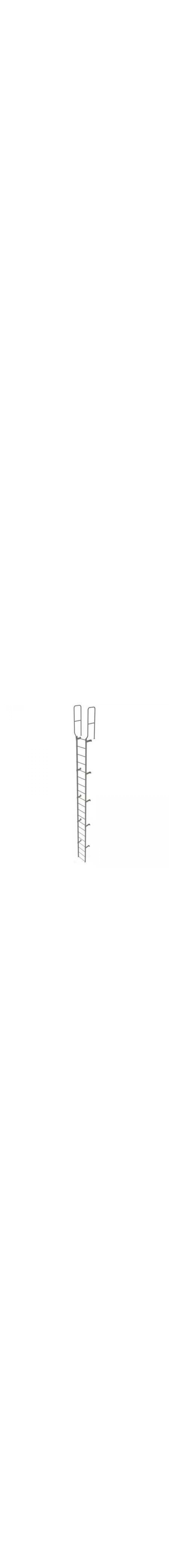 19Ft Steel Fixed Ladder - WLFS0220