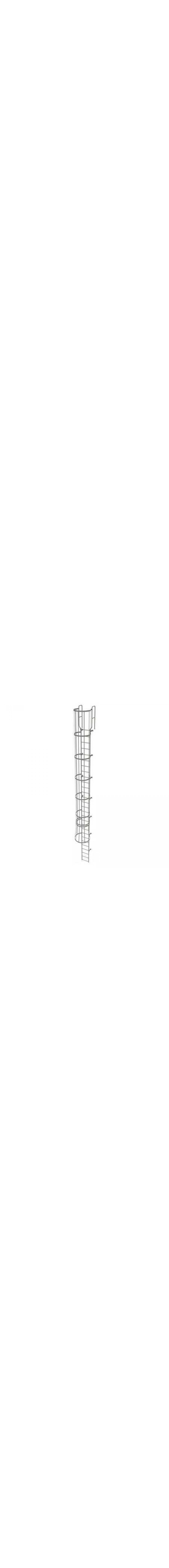 27Ft Steel Fixed Ladder with Safety Cage - WLFC1228