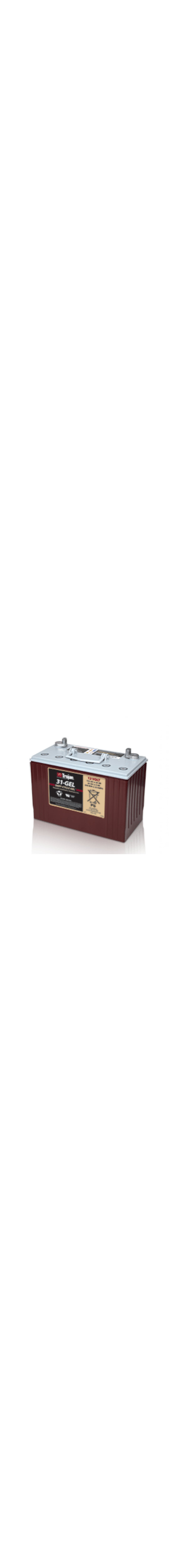 31-GEL 12V Deep Cycle Gel Battery