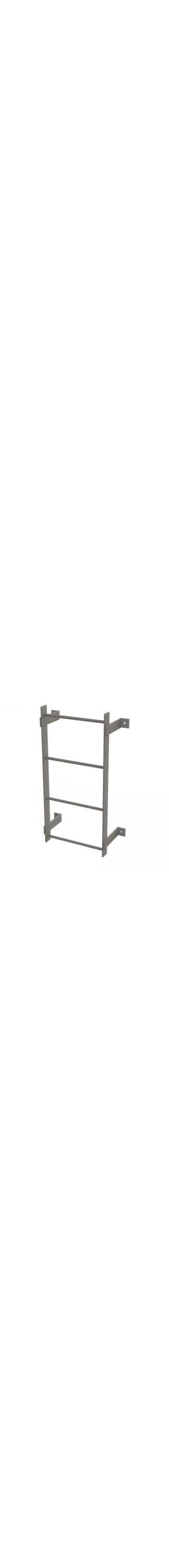 3Ft Steel Fixed Ladder - WLFS0104