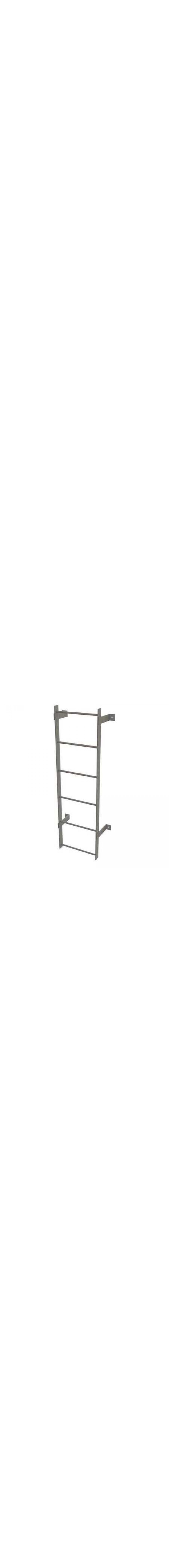 5Ft Steel Fixed Ladder - WLFS0106