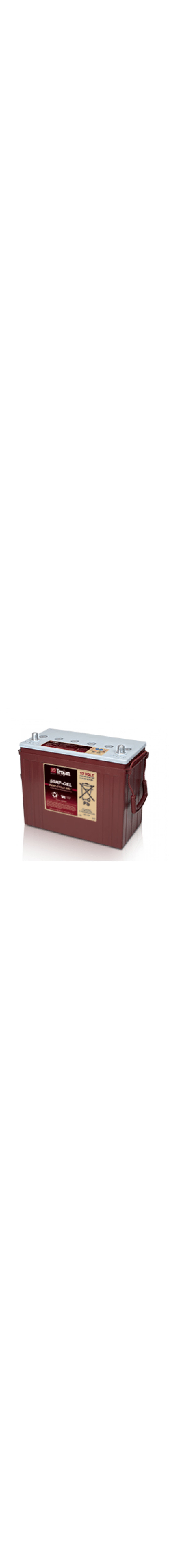 5SHP-GEL 12V Deep Cycle Gel Battery