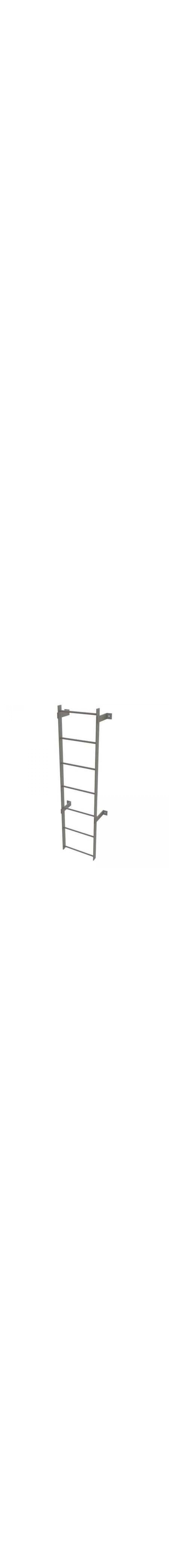 6Ft Steel Fixed Ladder - WLFS0107
