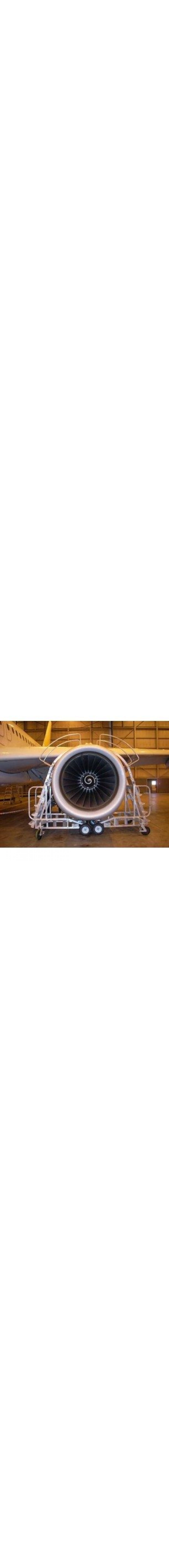 Aircraft Pylon Access Ladder