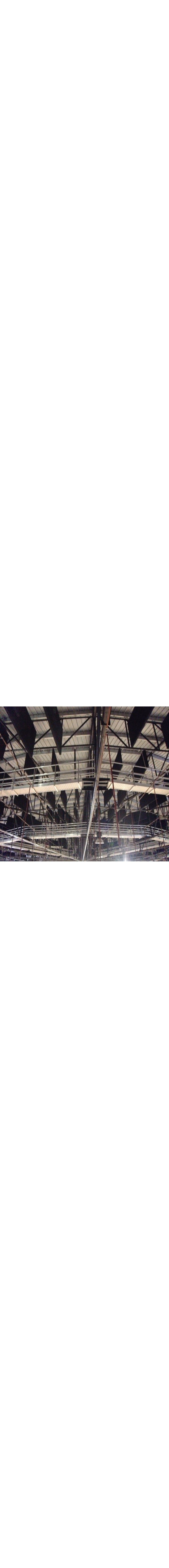 Boiler Access Spandeck System