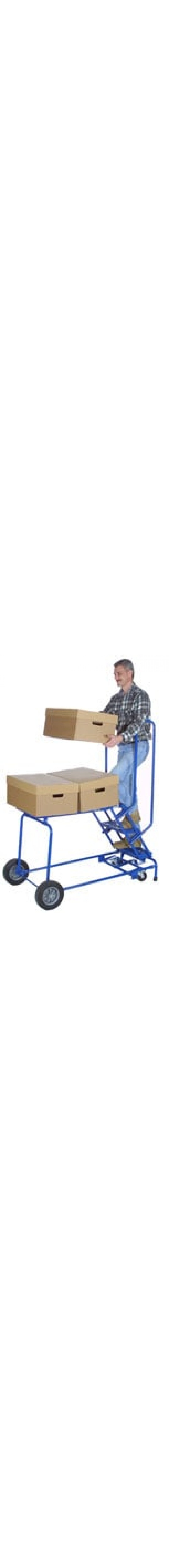 Cart-and-Climb Ladders