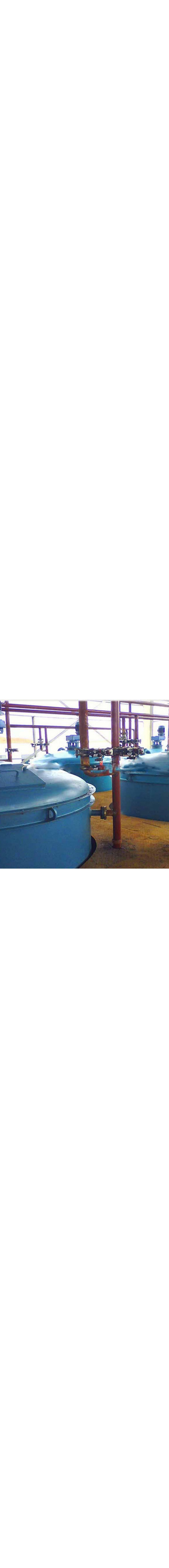 Castor Oil Cake Extraction Machine