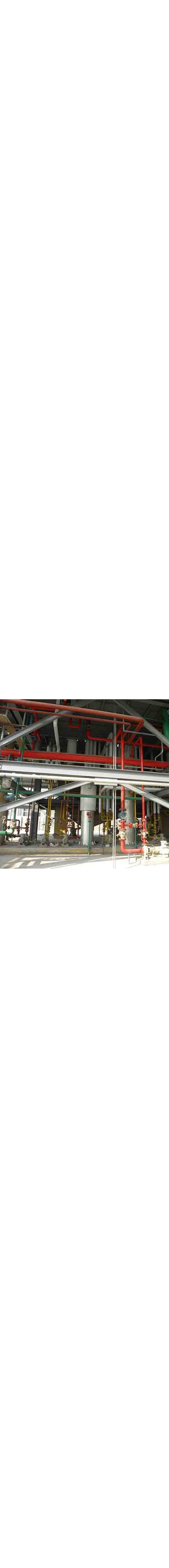 Coconut Oil Cake Extraction Machine