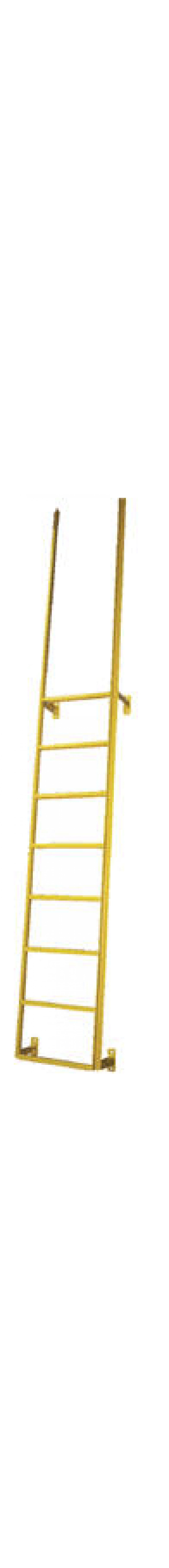 Dock Ladders