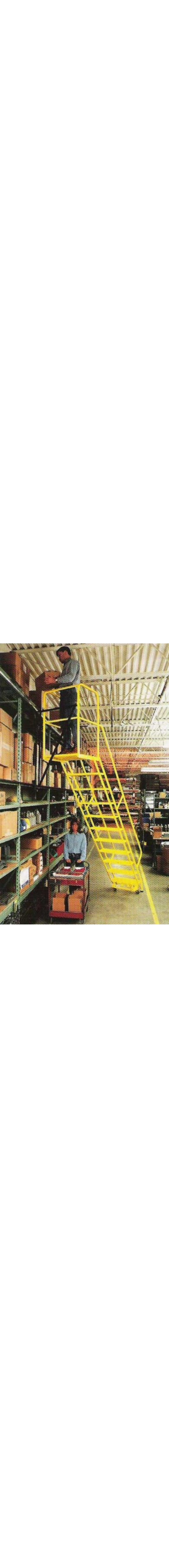 Equipment example: Dual Side Track Caged Ladder