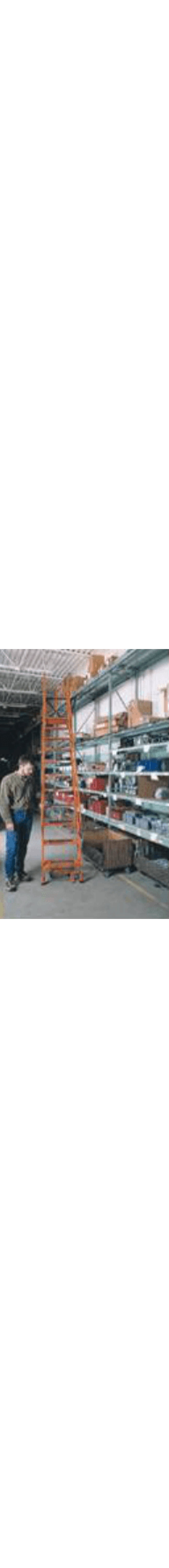 Dual Track Mounted Shelf Ladder