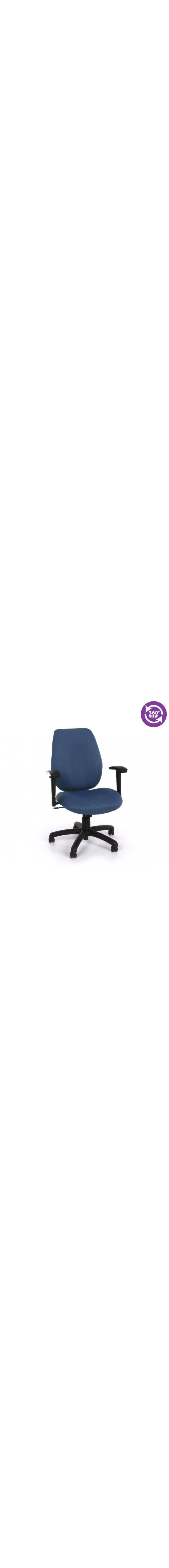 Ergonomic Manager's Chair