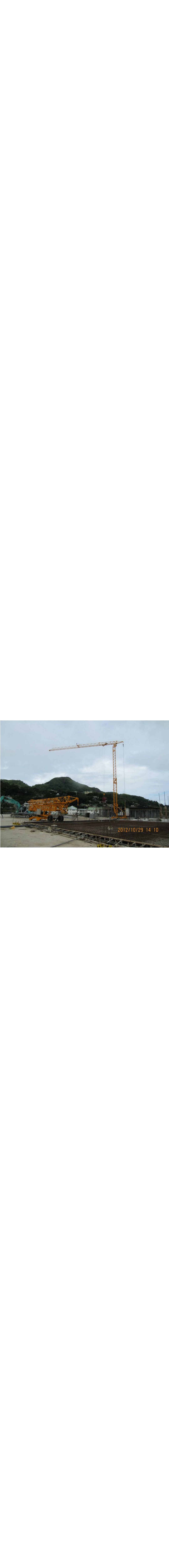 Fast Assemble Tower Crane
