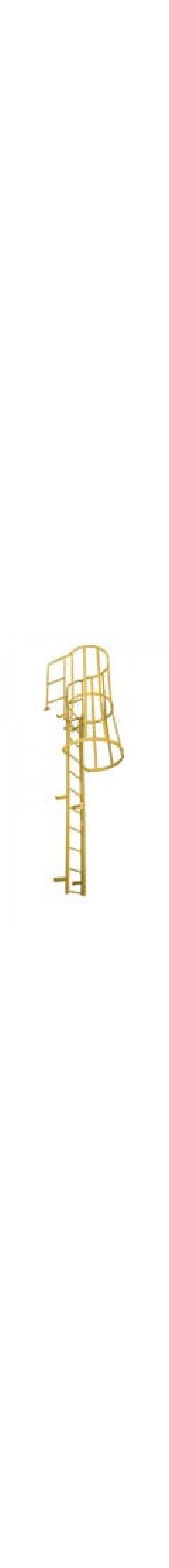 Fixed Caged Handrail Ladder