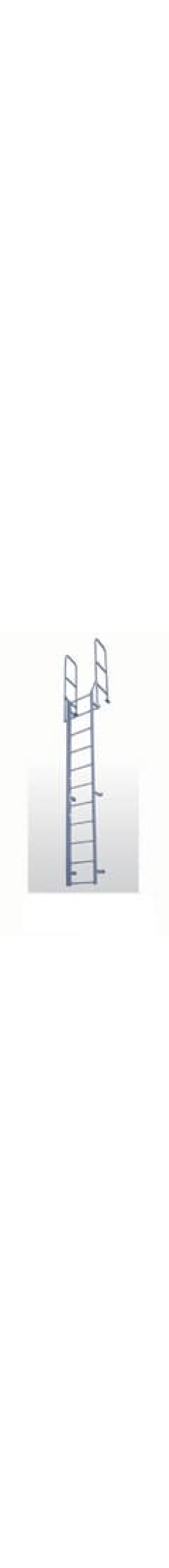 Fixed Handrail Ladder