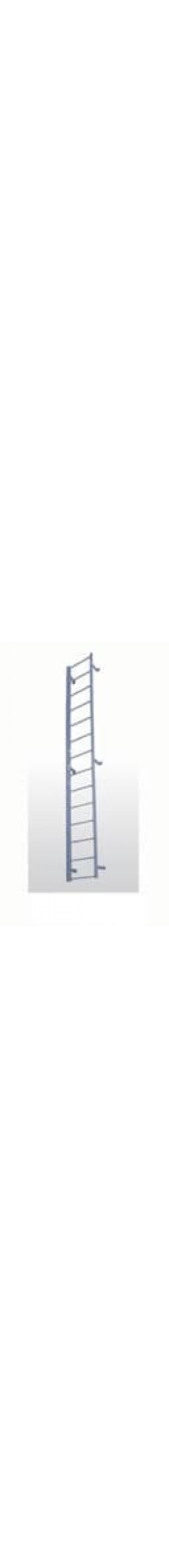 Fixed Industrial Ladders