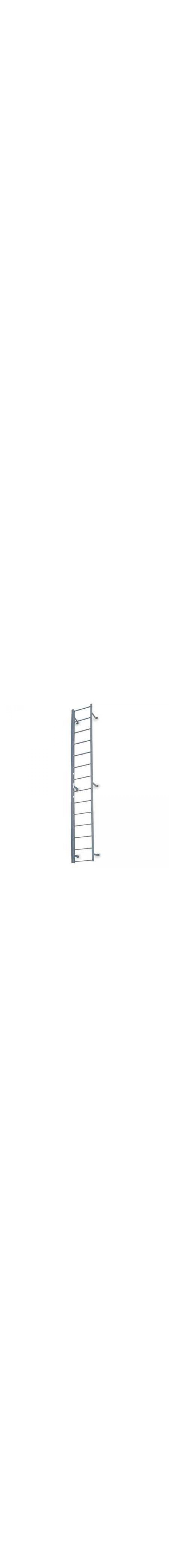 Fixed Ladder - F11S C1