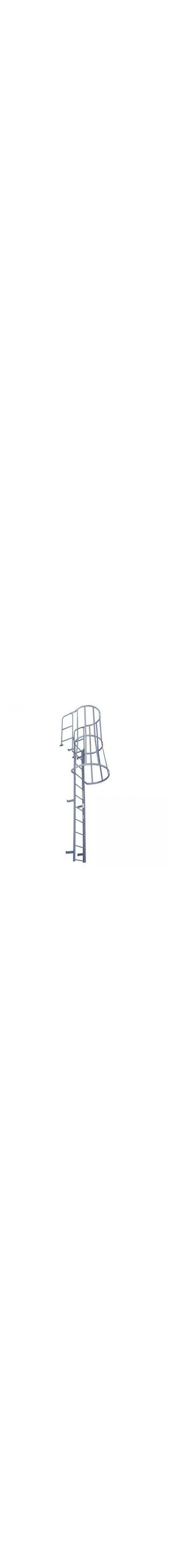 Fixed Ladder with Safety Cage - F10WC C1