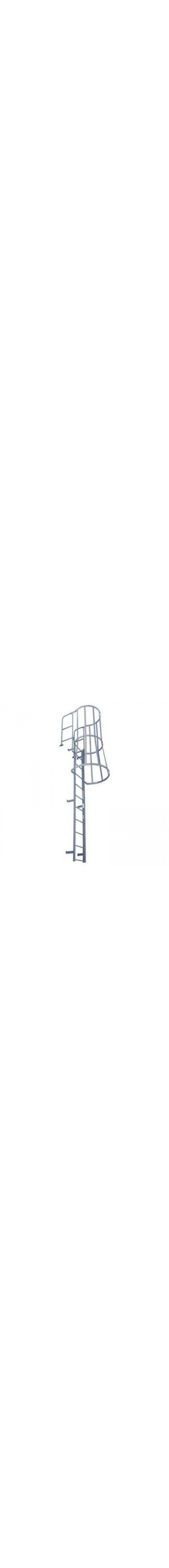 Fixed Ladder with Safety Cage - F24WC C1 - Pre-Owned Never Used