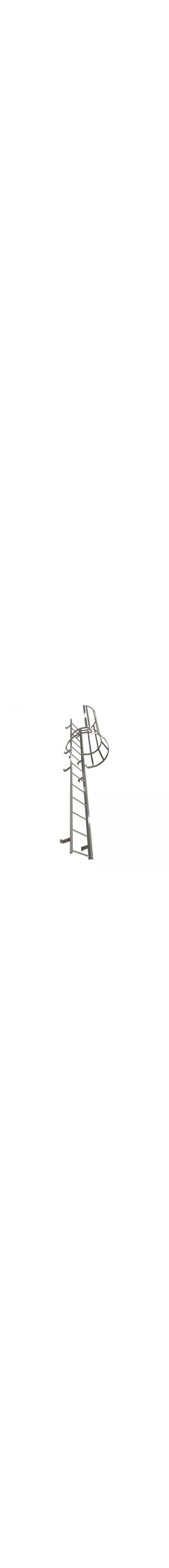 Fixed Ladder With Safety Cage - M18SC L10 C1