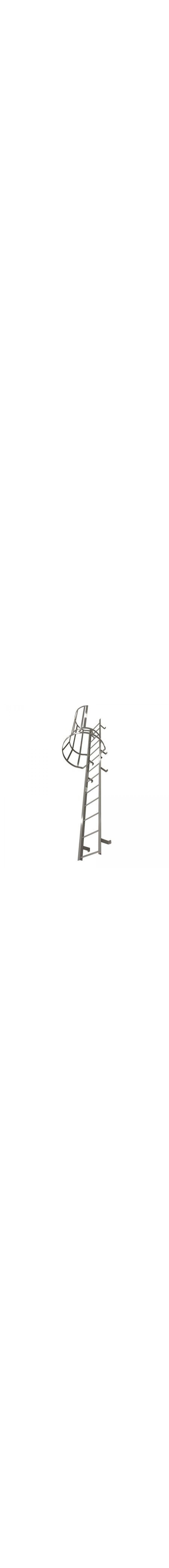 Fixed Ladder With Safety Cage - M26SC L9 C1