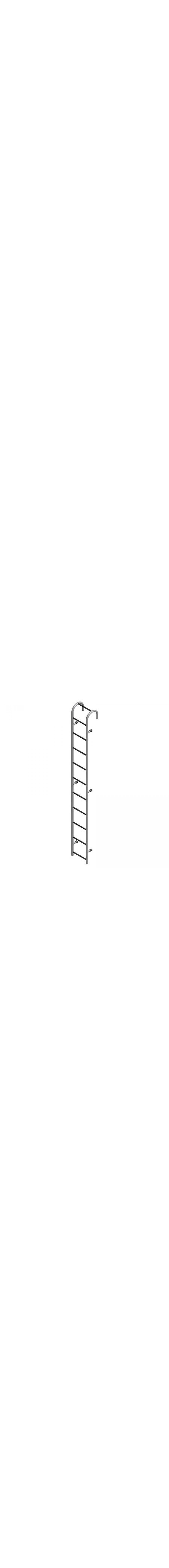 Fixed Storage Tank Ladder - ST10AL C1