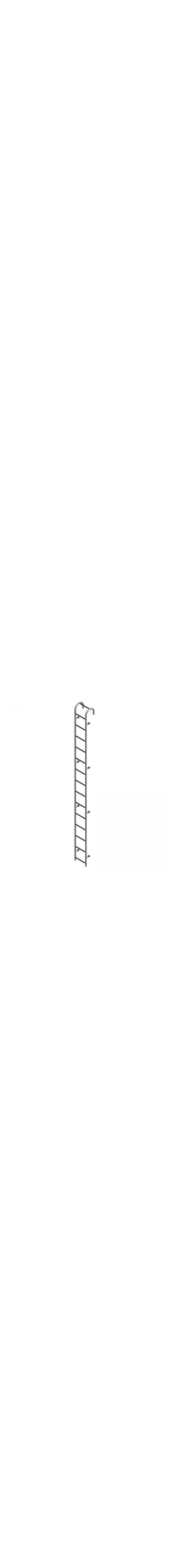 Fixed Storage Tank Ladder - ST13AL C1