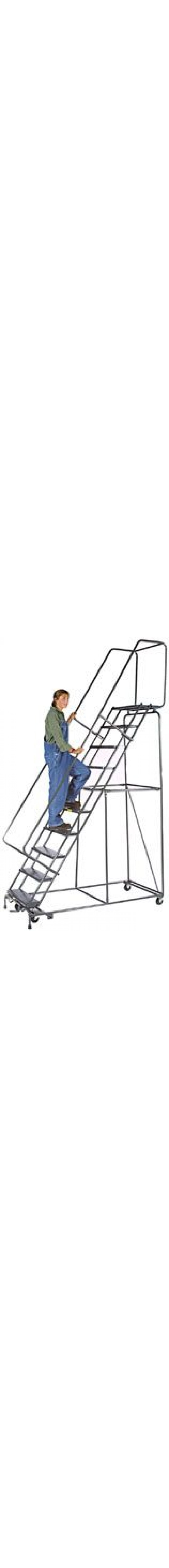 Freight Saver Lockstep Ladder