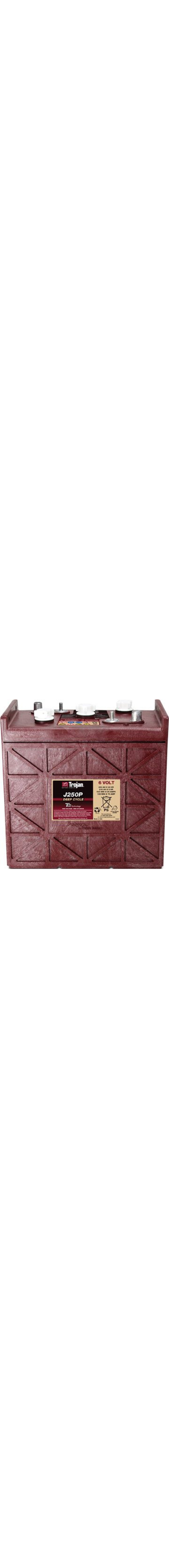 J250G Deep-Cycle Flooded 6-Volt Battery