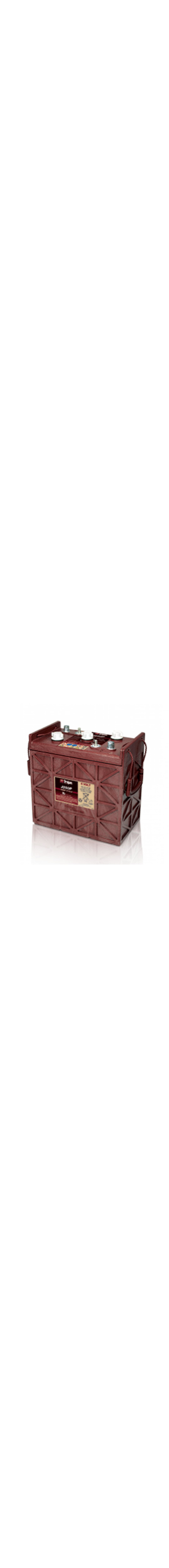 J250P 6V Deep Cycle Battery