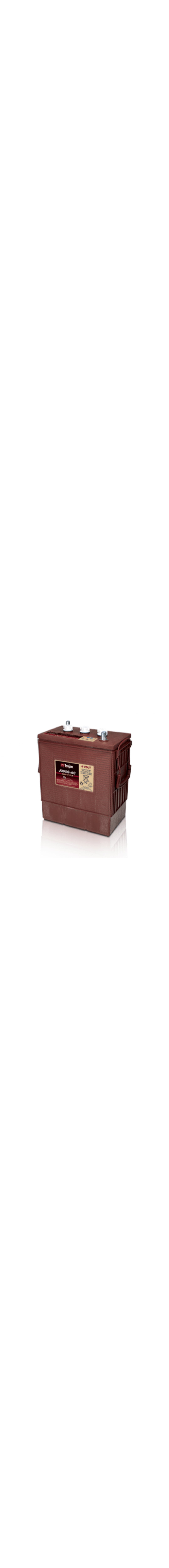 J305G-AC 6V Deep Cycle Battery