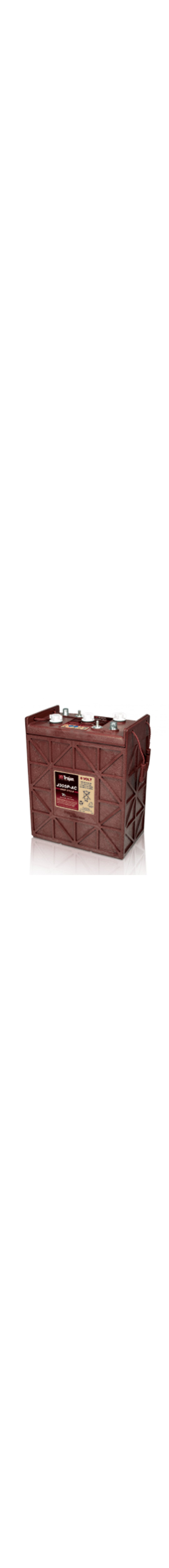 J305P-AC 6V Deep Cycle Battery