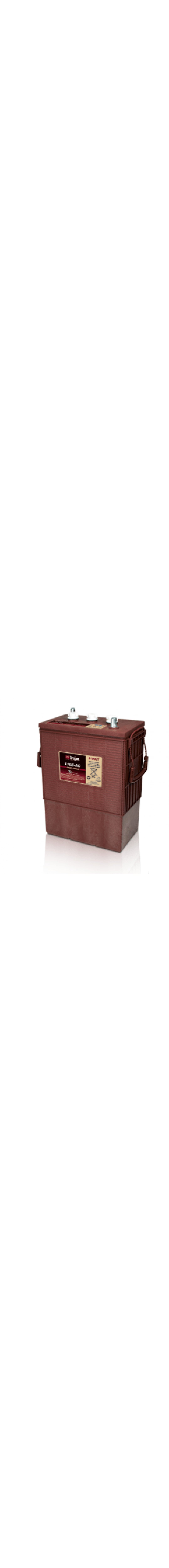 L16E-AC 6V Deep Cycle Battery