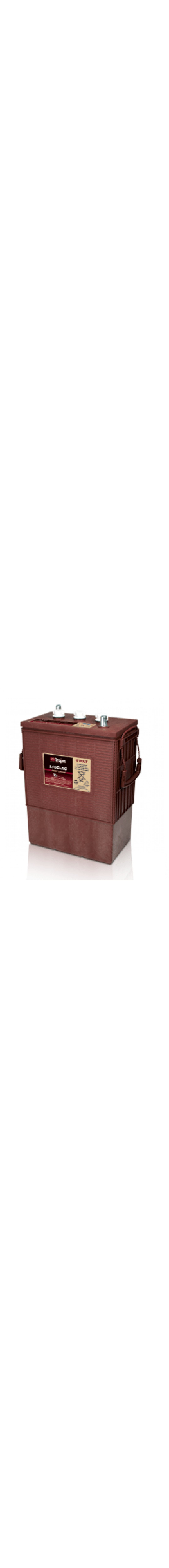 L16G-AC 6V Deep Cycle Battery