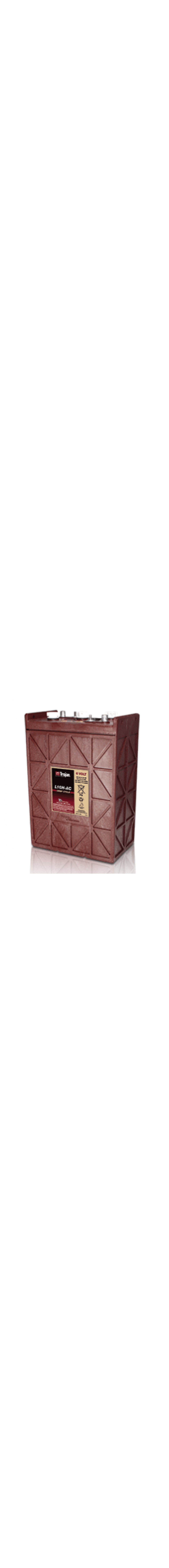 L16H-AC 6V Deep Cycle Battery